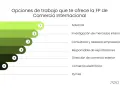 Opciones de trabajo en comercio internacional: aduanas, investigación de mercados, consultoría, exportaciones, comercio exterior, e-commerce y pymes.