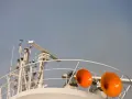Zwei orangefarbene Schiffshörner sind bereit, ihr Signal zu geben. Das Schiff hupt 3 mal lang, um seine Anwesenheit zu signalisieren.