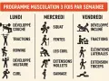 Programme de renforcement musculaire : combien de fois par semaine ? Lundi, mercredi, vendredi : développé couché, tractions, rowing, squat, fentes, leg curl, développé incliné, élévations latérales, extension triceps.