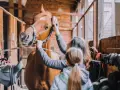 Deux personnes s'occupent du pansage d'un cheval dans une écurie. Le cheval est brun et porte un licol.