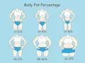 Ilustracja pokazuje różne poziomy procentu tkanki tłuszczowej u kobiet, od 11-12% (bardzo szczupła) do 34-35% (otyłość).