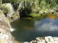 Las pozas negras de Cantalojas, un remanso de paz rodeado de vegetación y rocas, con una cascada cayendo en el agua oscura.