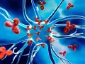Czerwone przeciwciała atakują neuron, ilustrując mechanizm chorób autoimmunologicznych.