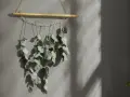 Getrockneter Eukalyptus hängt an einem Bambusstock, ein schönes Deko-Element.
