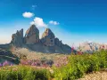 Tre Cime di Lavaredo maestose, fiori viola in primo piano. Un invito a scoprire gli **itinerari Dolomiti** più suggestivi.