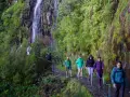 Randonneurs sur un sentier étroit longeant une cascade luxuriante, une expérience typique d'une levada à Madère.