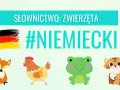 Słownictwo: zwierzęta po niemiecku. Lis, kura, żaba i tygrys uczą się języka. #NIEMIECKI