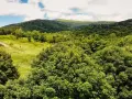 Co warto kupić w Bieszczadach? Odkryj unikalne skarby regionu