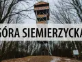 Wieża widokowa na Górze Siemierzyckiej w otoczeniu nagich drzew.