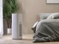 Un deumidificatore di notte, accanto a una pianta e un letto, crea un ambiente confortevole e salubre.