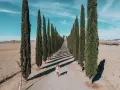 Una donna cammina lungo un viale di cipressi nel Val d'Orcia, Italia, sotto un cielo azzurro.