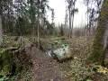 Rezerwat przyrody Krzemianka: piękno natury i unikalne atrakcje
