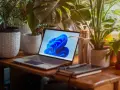 Laptop z systemem Windows 11 otoczony roślinami. Zastanawiasz się, ile zajmuje Windows 11?