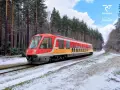 Czerwono-żółty pociąg EN 81-005 Polregio mknie przez zaśnieżony las.