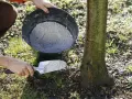 Utilisation de cendre de bois pour fertiliser le sol autour d'un jeune arbre. Une pelle est remplie de cendre provenant d'un seau.
