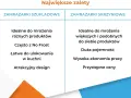 Zamrażarka czy zamrażalka? Dlaczego tylko jedna jest poprawna?