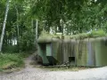 Skansen fortyfikacji Jastarnia: betonowe bunkry w kamuflażu, porośnięte trawą, ukryte wśród drzew i piasku.