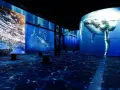 Immersives Erlebnis mit Walen und Wellen, das an **Hamburg abends** erinnert. Blaue Projektionen auf Wänden und Boden erzeugen Unterwasserwelt.