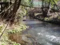 Un suggestivo ponte tibetano nel Lazio attraversa un ruscello tra alberi e vegetazione rigogliosa, creando un'atmosfera incantevole.