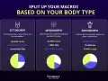 Diagrammet visar hur man delar upp sina **macros svenska** baserat på kroppstyp: ektomorf, mesomorf och endomorf, med rekommenderade fördelningar av kolhydrater, fett och protein.