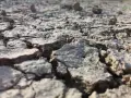 Terreno arido e crepato, un esempio di suolo che necessita di interventi per come abbassare la salinità del terreno e renderlo fertile.