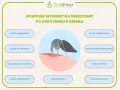 Domowe sposoby na ukąszenia komarów: olejki lawendowy, cytrynowy, goździkowy, z mięty pieprzowej, eukaliptusowy, herbaciany, sok z cytryny, zimne okłady i plastry z aloesu.