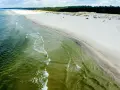 Piękne, piaszczyste plaże w Polsce, z zielonymi wodami Bałtyku i sosnowym lasem w tle.