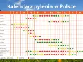 Co pyli w Szczecinie? Aktualny raport + kalendarz i ulga dla alergika