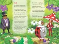 Ilustracja do wierszy o przyrodzie Jana Brzechwy. Żuk w meloniku i biedronka w sukni rozmawiają wśród kwiatów.