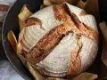 Ein frisch gebackenes Sauerteigbrot mit knuspriger Kruste liegt in einem Gusseisentopf. Perfekt für jedes Sauerteigbrot Rezept.