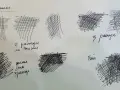 Un dessin au stylo montre des études de hachures, explorant différentes densités et directions pour créer des ombres.