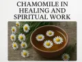 Chamomile flowers float in a wooden bowl of tea, symbolizing peace and healing. The chamomile spiritual meaning is often associated with calm and gentle energy.