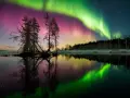 Une aurore boréale spectaculaire illumine le ciel de verts et de roses au-dessus d'un lac calme reflétant le paysage et les arbres dénudés.