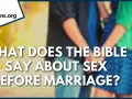 GotQuestions.org asks: What does the Bible say about sex before marriage? A couple holds hands, hinting at the topic.