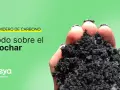 Mano sosteniendo biochar, un sumidero de carbono. Aprende todo sobre el biochar.