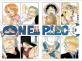 One Piece: Manga vs. Anime Welcher Weg ist der richtige?