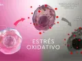 Célula normal atacada por radicales libres, causando estrés oxidativo y daño celular.