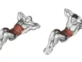 Anatomie d'un homme en mouvement de crunch inversé, montrant les muscles abdominaux saillants.