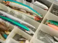 Pudełko z różnymi przynętami wędkarskimi naturalnymi, imitującymi ryby i owady, gotowymi na połów.