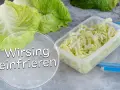 Frischer Wirsing, bereit zum Einfrieren in einer transparenten Box. So bleibt das Gemüse lange haltbar.