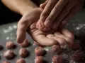 Dłonie formują klopsiki do sosu pomidorowego, podczas gdy pulpety w sosie koperkowym czekają na swoją kolej.