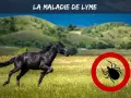 Cheval noir galopant dans un pré, avec un symbole de tique barrée. Attention à la maladie de Lyme cheval.