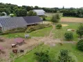 Vue aérienne d'une ferme équestre avec des chevaux au pré, des abris et un manège. Le bâtiment principal est équipé de panneaux solaires, offrant un hébergement chevaux moderne et écologique.