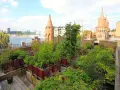 Üppiger urban gardening Berlin auf einem Dach mit Blick auf die Spree und historische Türme.