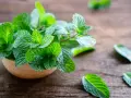 Świeża mięta w drewnianej miseczce, idealna jako wsparcie dla **ziół na odchudzanie**. Jej orzeźwiający aromat pobudza i dodaje energii.