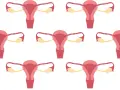 Schemat układu rozrodczego kobiety. Badanie CA 125 może pomóc w diagnostyce chorób ginekologicznych.