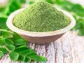 Zielony proszek z liści moringa w drewnianej miseczce, otoczony świeżymi liśćmi. Czy to ściema? Nie, to superfood!