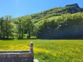 Un antico lavatoio in pietra, una fonte della noce, si affaccia su un prato fiorito di giallo, con alberi rigogliosi e una montagna sullo sfondo.