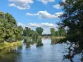 Sommerliche Idylle am badesee bamberg. Grüne Bäume spiegeln sich im ruhigen Wasser, der Himmel ist blau mit weißen Wolken.