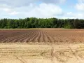 Idealny teren pod zakup działki rolnej do 1 ha. Pole zaorane, gotowe na nowe plony, z lasem w tle.